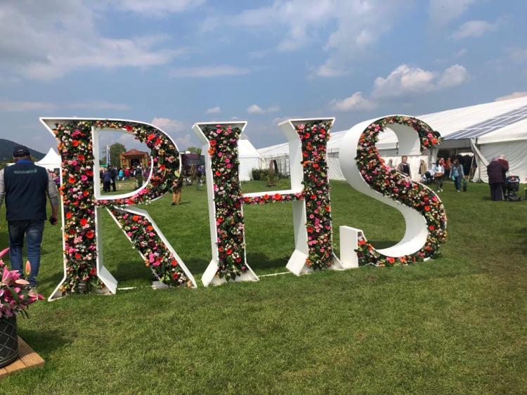 69a4c9fc-71f2-42fc-bc36-7ce9cfaf3465