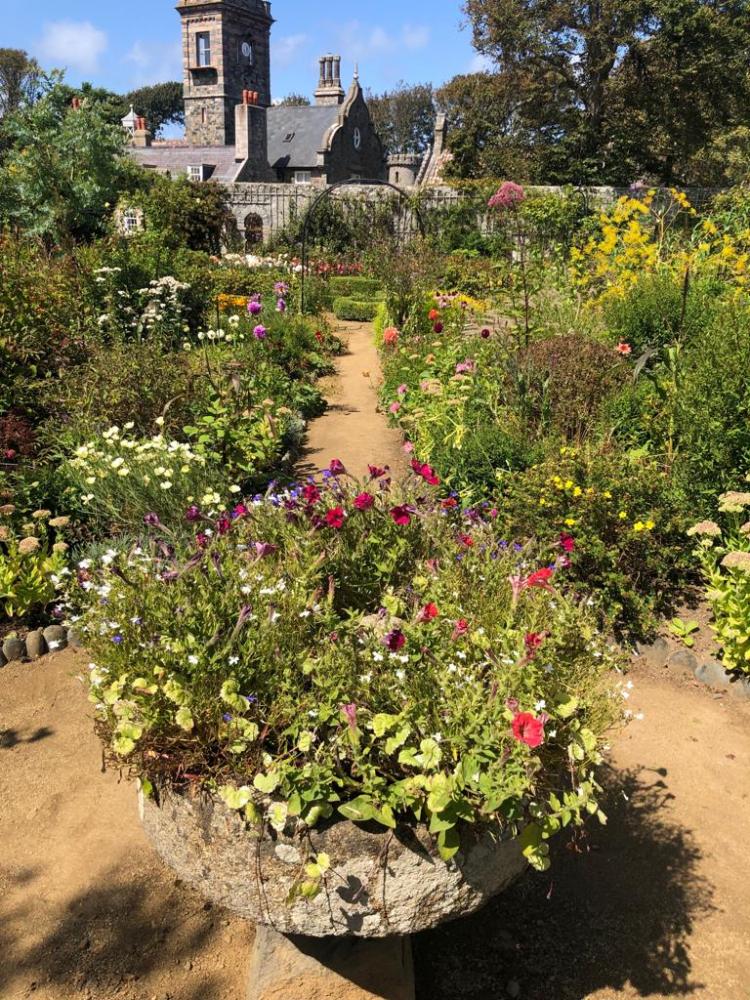 1F3D31A8-C3F4-49C1-A634-424033458688