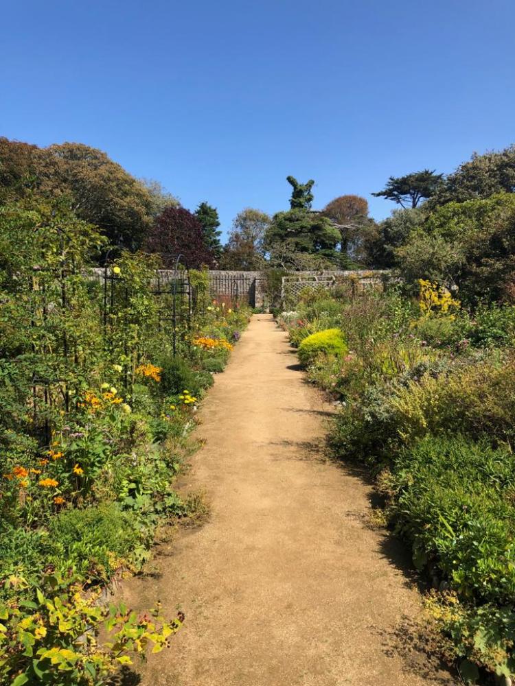 C7E3C79D-4025-488F-B04B-3A675C2BFCB9